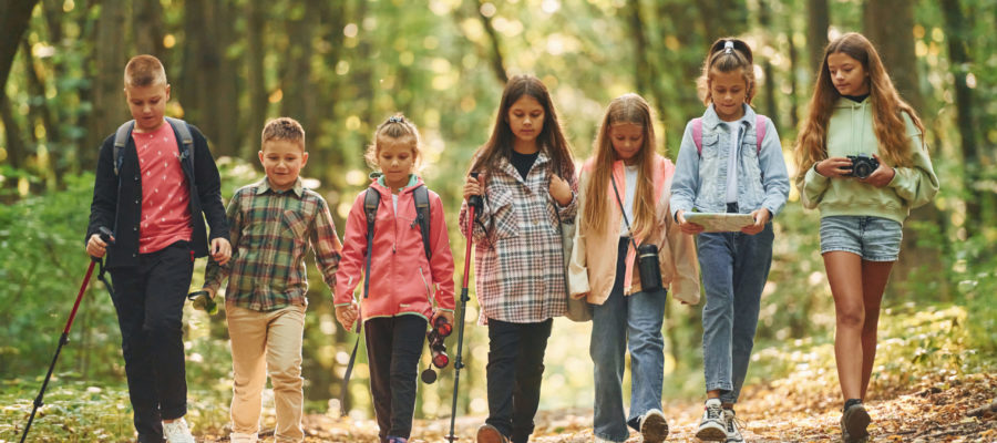 Walking together. Kids in green forest at summer daytime